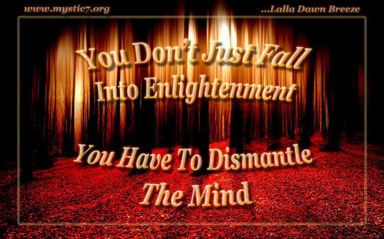 You Don't Just Fall Into Enlightenment, You Have To Dismantle The Mind ...quote by Lalla Dawn Breeze