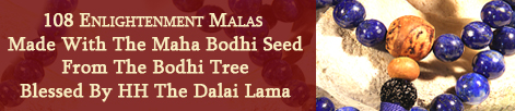 108 Enlightenment Malas are made with the maha bodhi seed from the bodhi tree in India