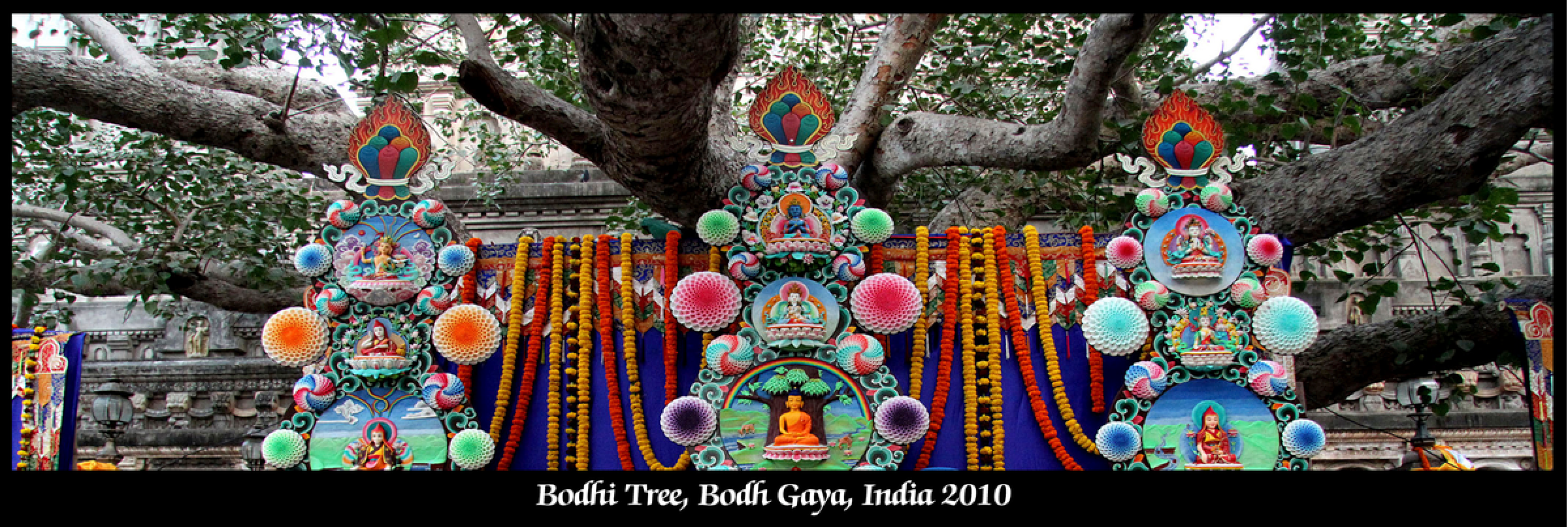 db-04-Bodh Gaya